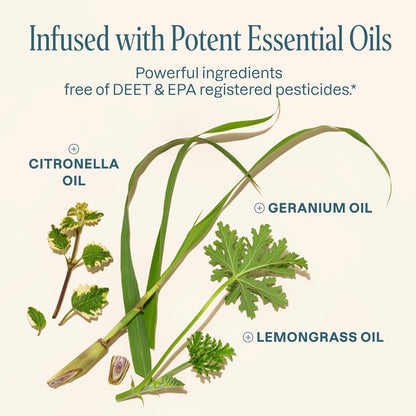 【🔥Big Sale🔥】Hppywayfar 25-pack of Mosquito Repellent Wristbands for Adults and Children - Natural DEET-Free, Individually Wrapped