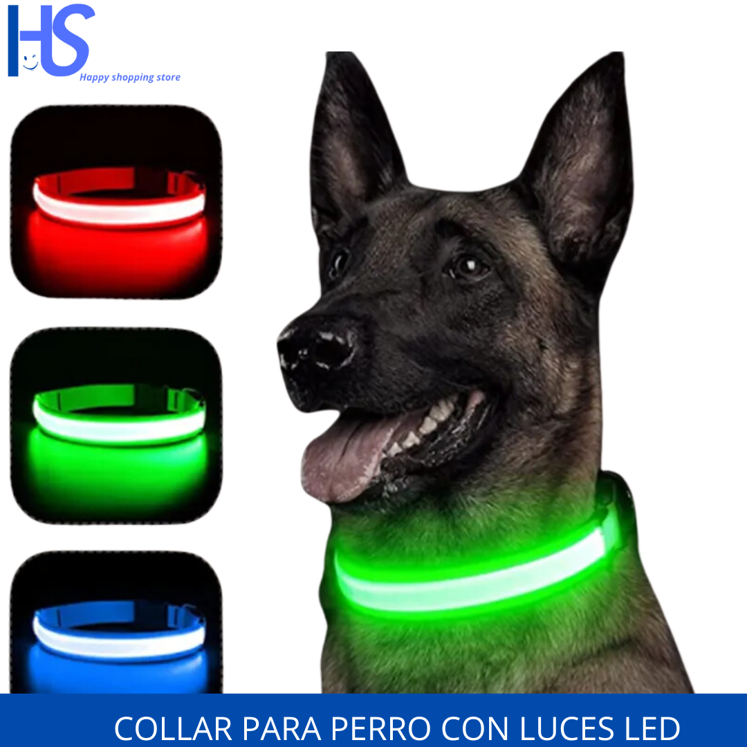 Collar con luz LED brillante para perro , antipérdida nocturna,